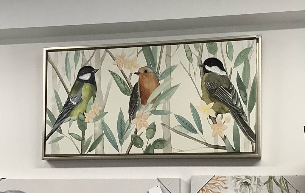 3 Birds