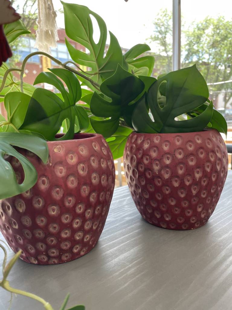 Strawberry planters